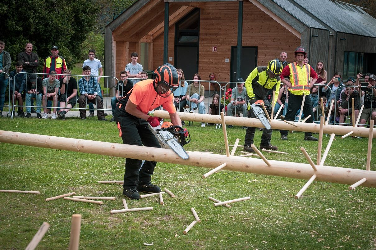 Entastung ist eine der f&uuml;nf Waldsport-Disziplinen. Foto: Litzlhof/Alois Lackner