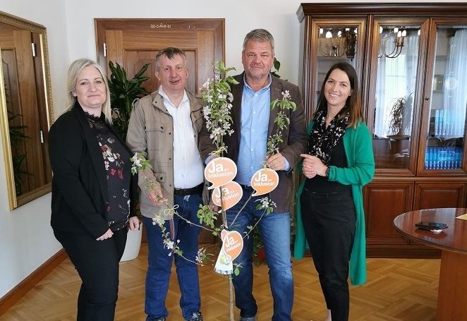 B&auml;ume als Zeichen der Inklusion