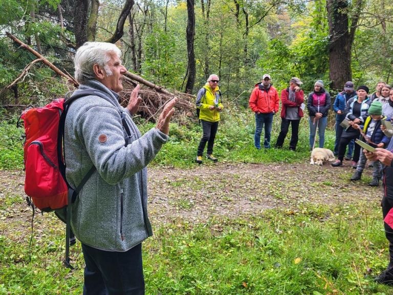 Lienz: Infos &uuml;ber keltisches Tempelheiligtum 