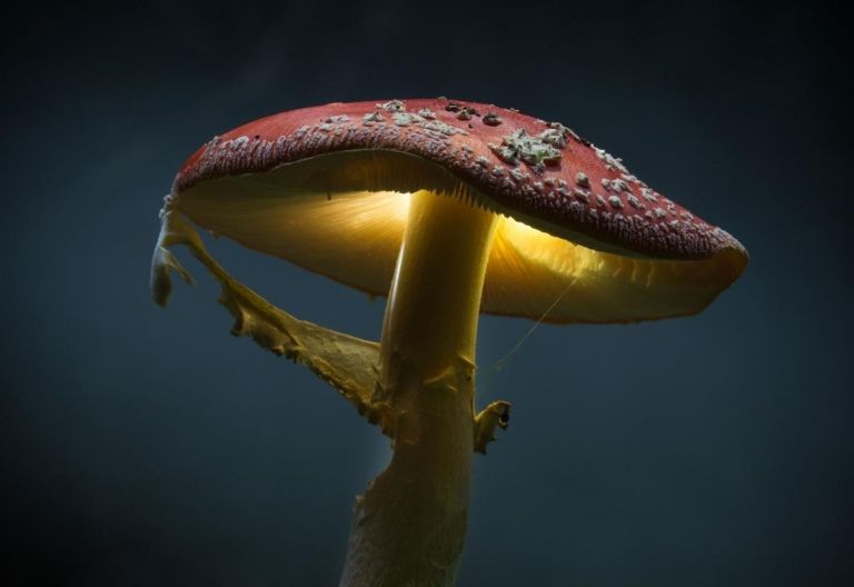 Fotoclub Lienz - Ausstellung im Anraser Pfleghaus